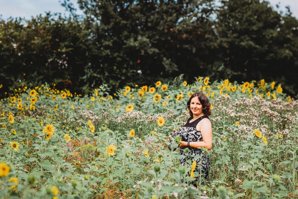 Photographer stood in sunflower field holding camera