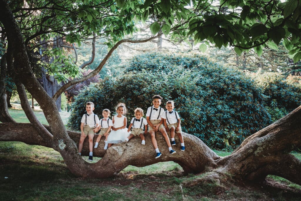 Children sat on an old tree